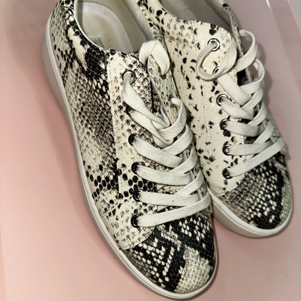 STEVE MADDEN Women's Snake Print Sneakers